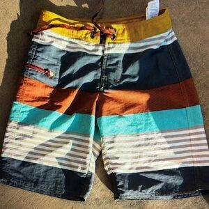 Patagonia Striped Multicolor Board Shorts
